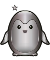 Silver 1-star conjugation rank badge